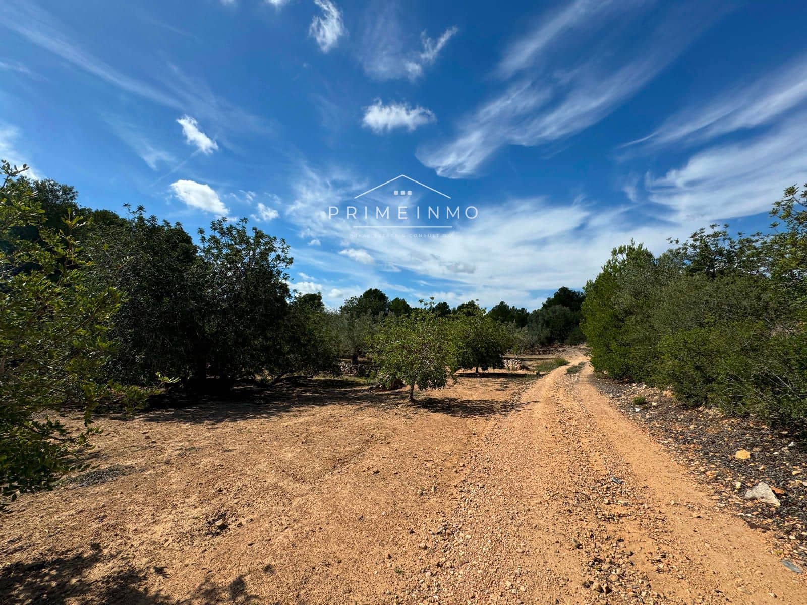 Grunde uden byggetilladelser til salg i El Perello - € 28.000 (Ref: 8558155)