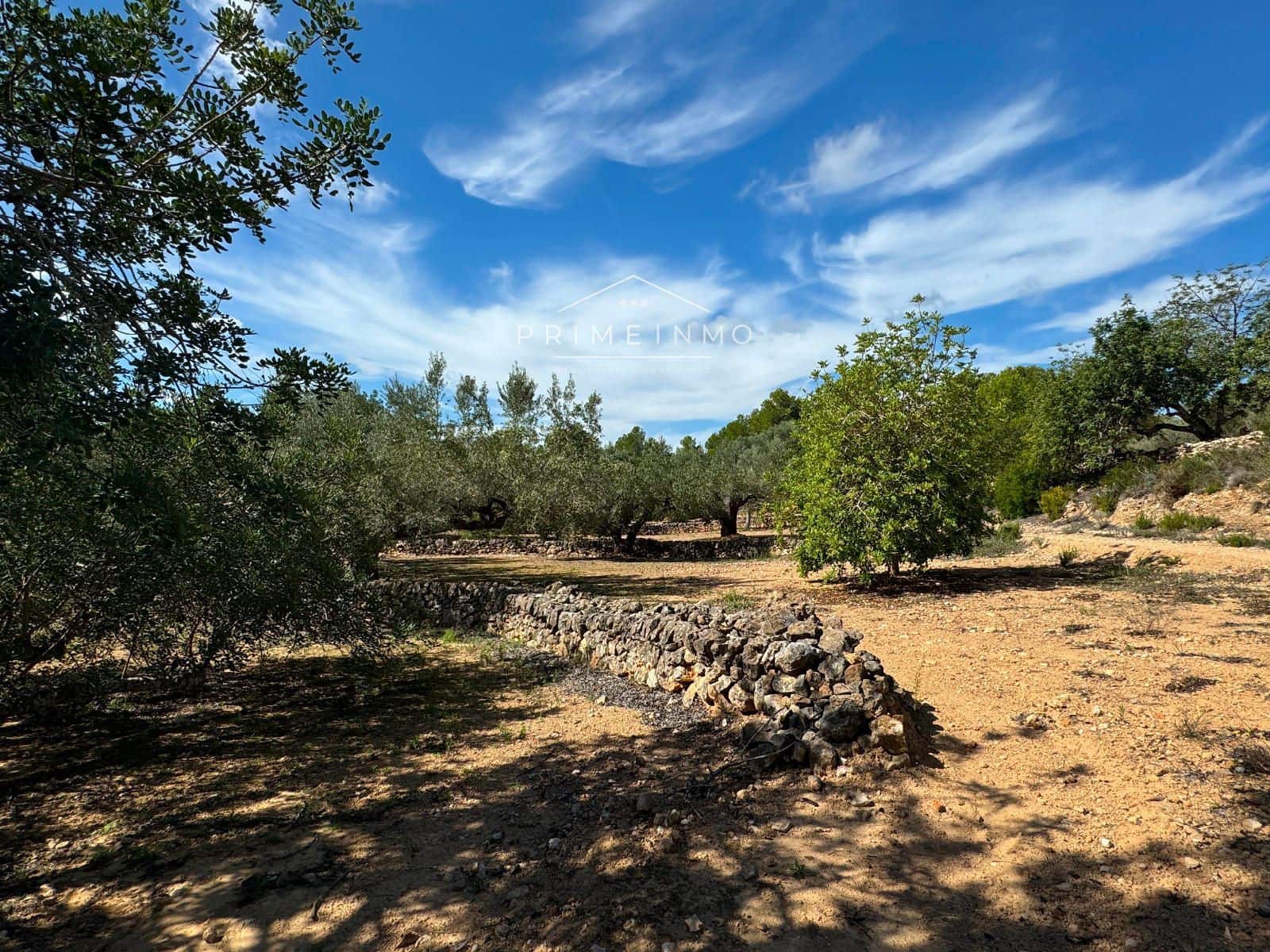 Grunde uden byggetilladelser til salg i El Perello - € 28.000 (Ref: 8558155)