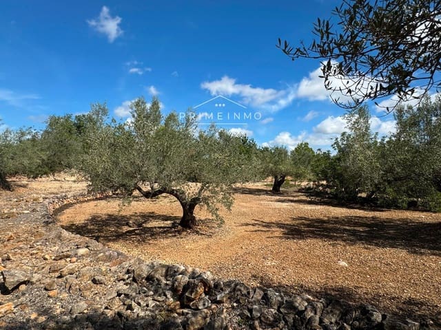 Undeveloped Land for sale in El Perelló - € 28,000 (Ref: 8558155)