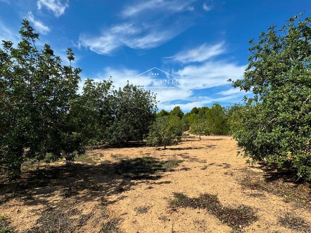 Undeveloped Land for sale in El Perelló - € 28,000 (Ref: 8558155)