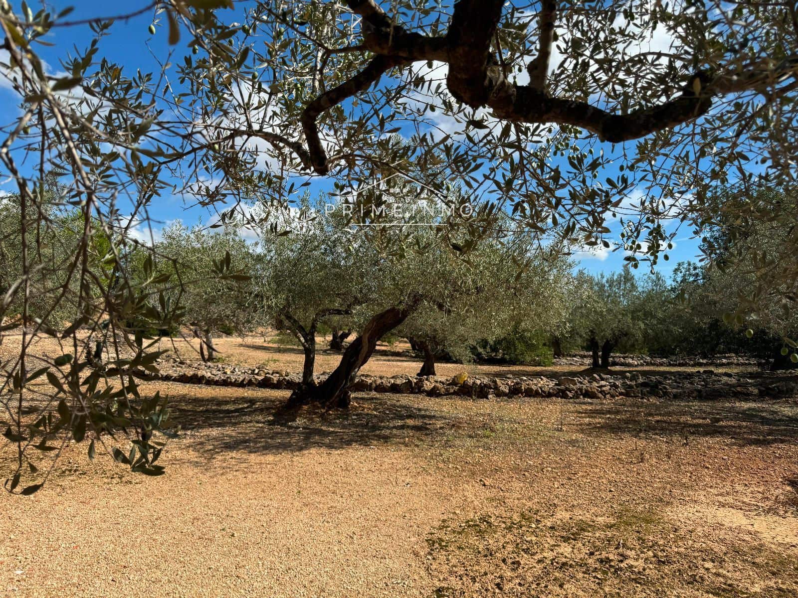 Grunde uden byggetilladelser til salg i El Perello - € 28.000 (Ref: 8558155)