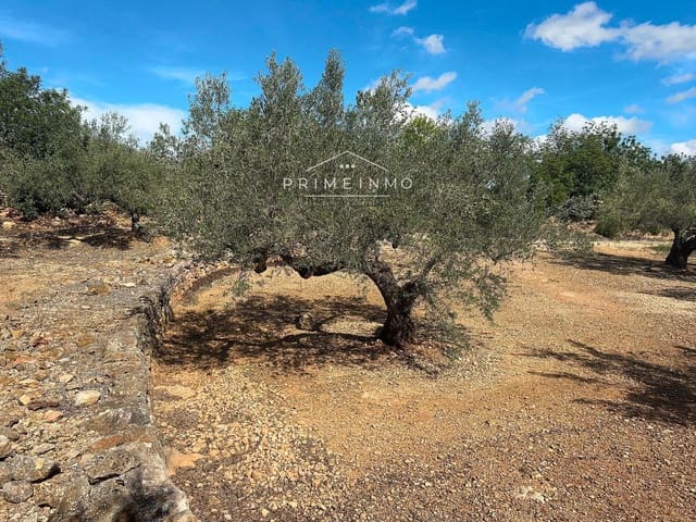 Undeveloped Land for sale in El Perelló - € 28,000 (Ref: 8558155)