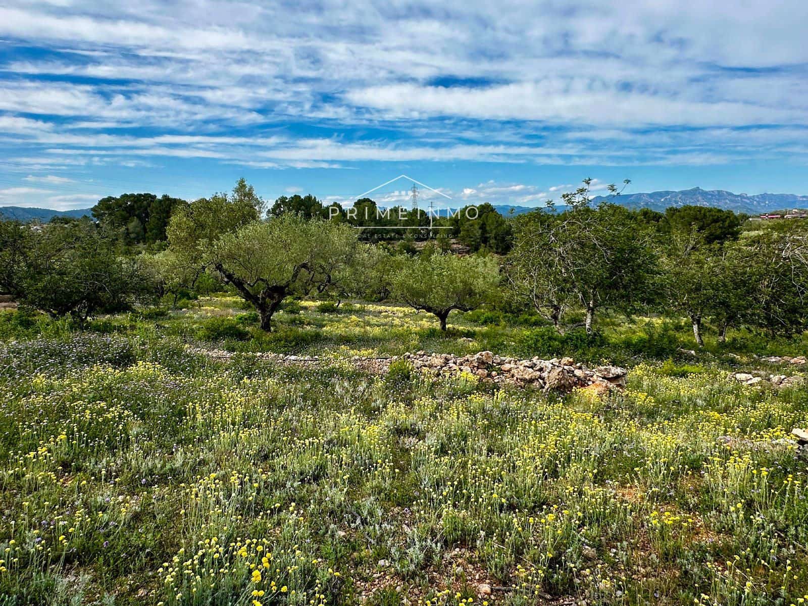 5 soveværelse Villa til salg i El Perello - € 298.000 (Ref: 8973412)