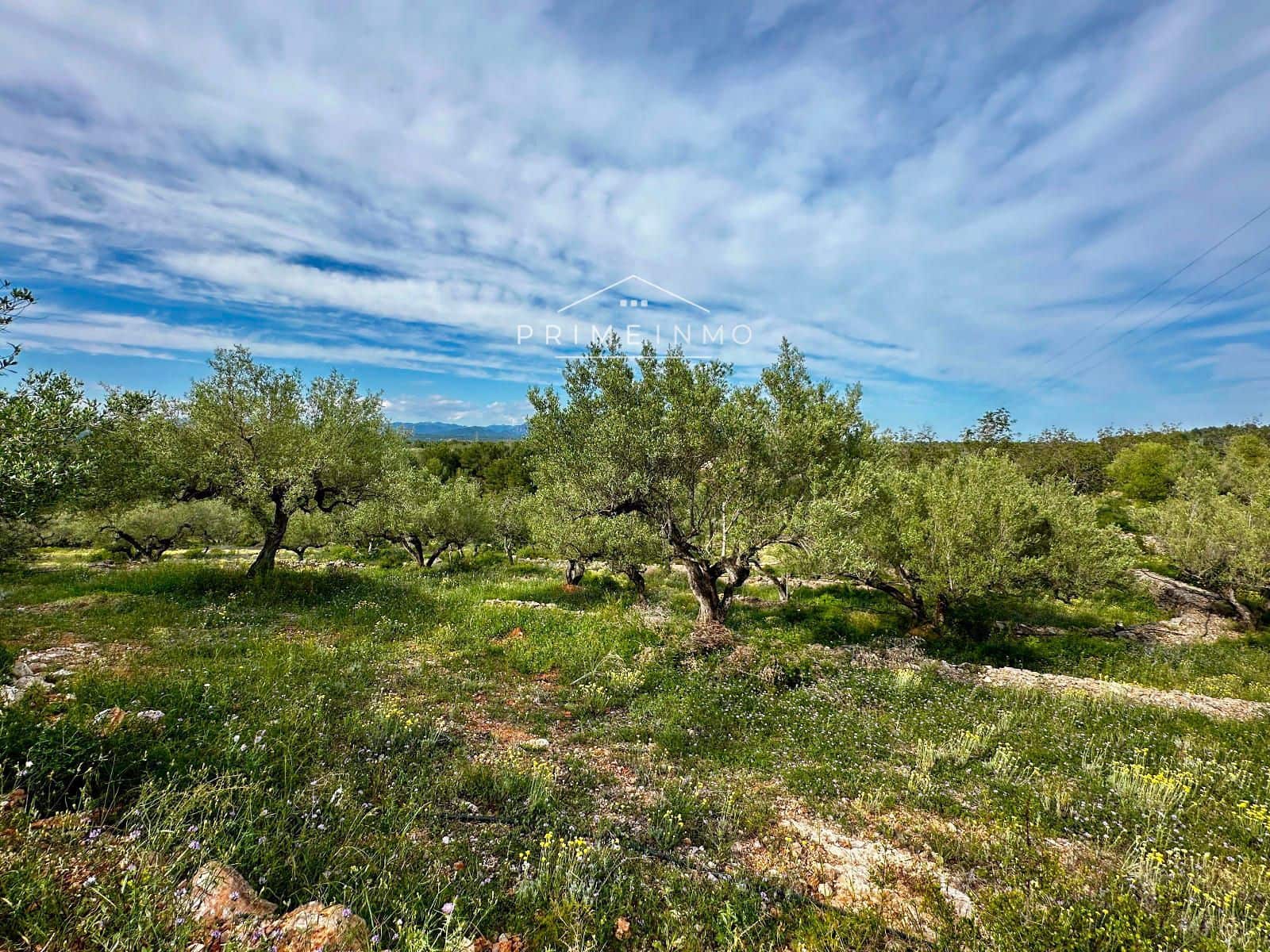 5 soveværelse Villa til salg i El Perello - € 298.000 (Ref: 8973412)