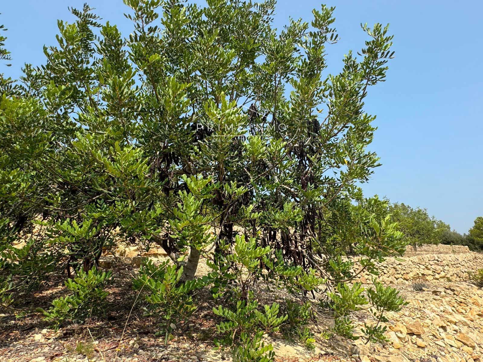 Undeveloped Land for sale in El Perello - € 55,000 (Ref: 8983010)