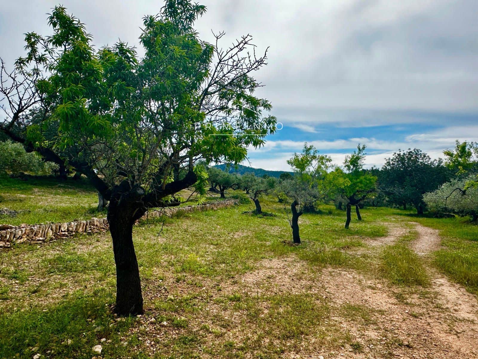 Grunde uden byggetilladelser til salg i L'Ametlla de Mar - € 189.000 (Ref: 9008355)