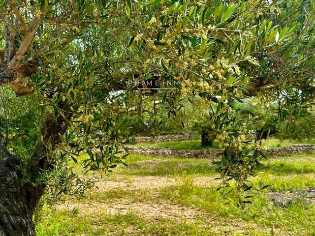 Rakentamaton maa myytävänä paikassa L'Ametlla de Mar - 189 000 € (Ref: 9008355)