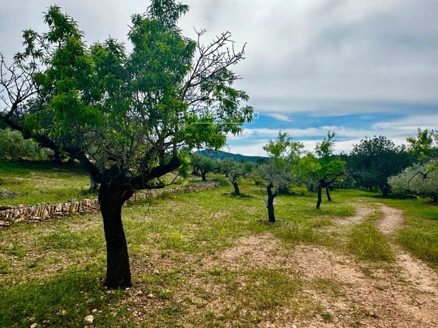Rakentamaton maa myytävänä paikassa L'Ametlla de Mar - 189 000 € (Ref: 9008355)