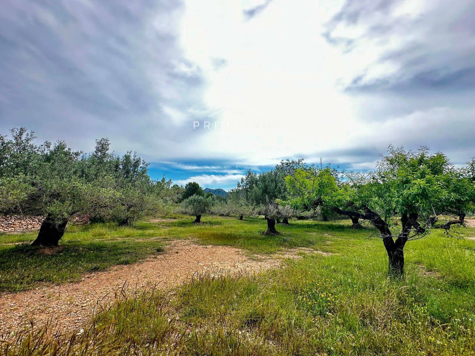 Grunde uden byggetilladelser til salg i L'Ametlla de Mar - € 189.000 (Ref: 9008355)