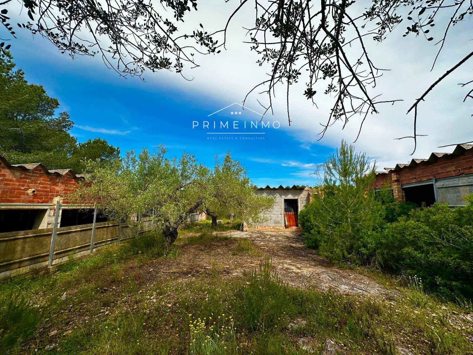 Grunde uden byggetilladelser til salg i L'Ametlla de Mar - € 189.000 (Ref: 9008355)