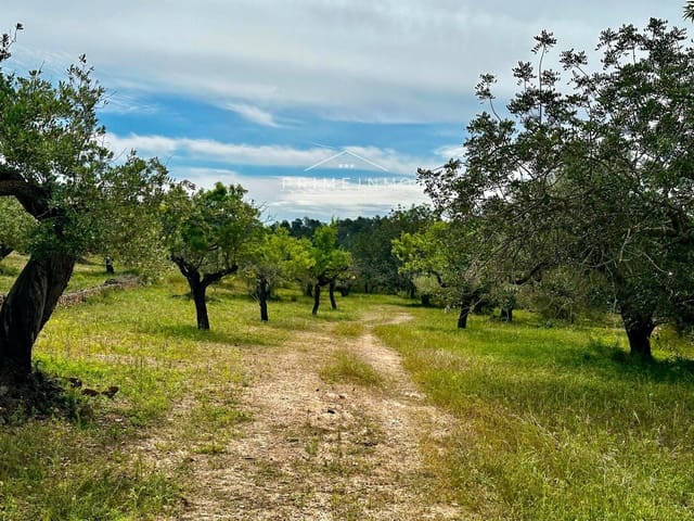 Rakentamaton maa myytävänä paikassa L'Ametlla de Mar - 189 000 € (Ref: 9008355)