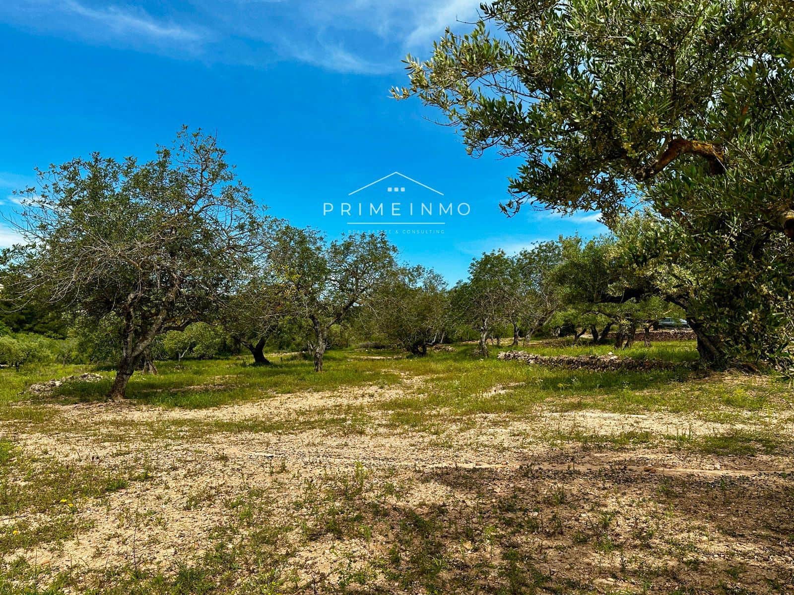 Grunde uden byggetilladelser til salg i L'Ametlla de Mar - € 189.000 (Ref: 9008355)