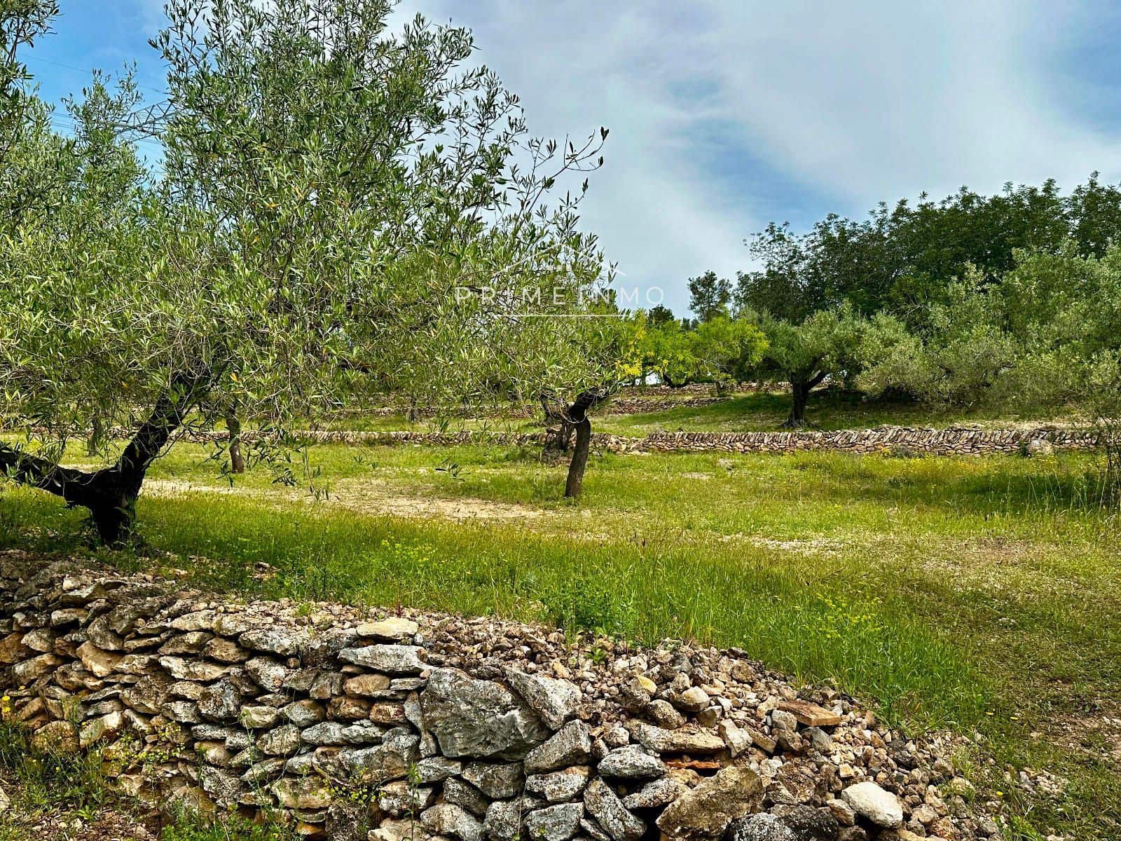 Grunde uden byggetilladelser til salg i L'Ametlla de Mar - € 189.000 (Ref: 9008355)