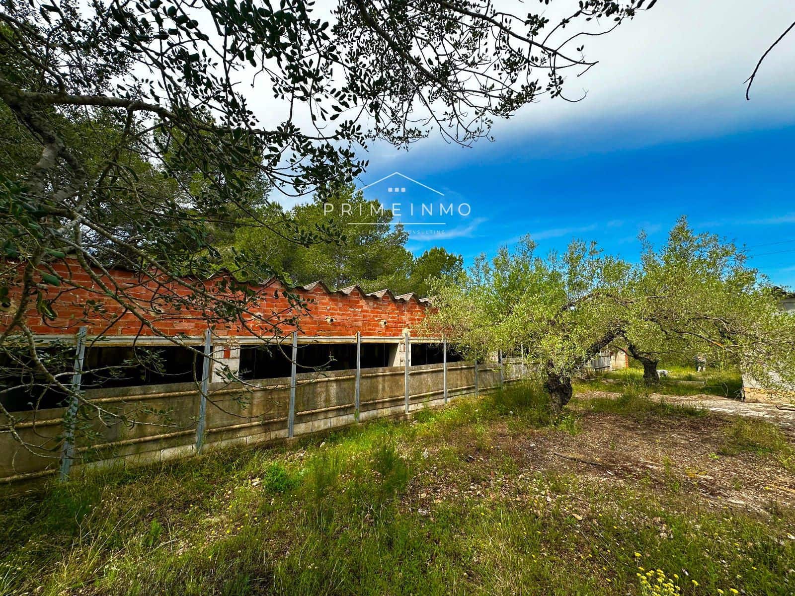 Grunde uden byggetilladelser til salg i L'Ametlla de Mar - € 189.000 (Ref: 9008355)