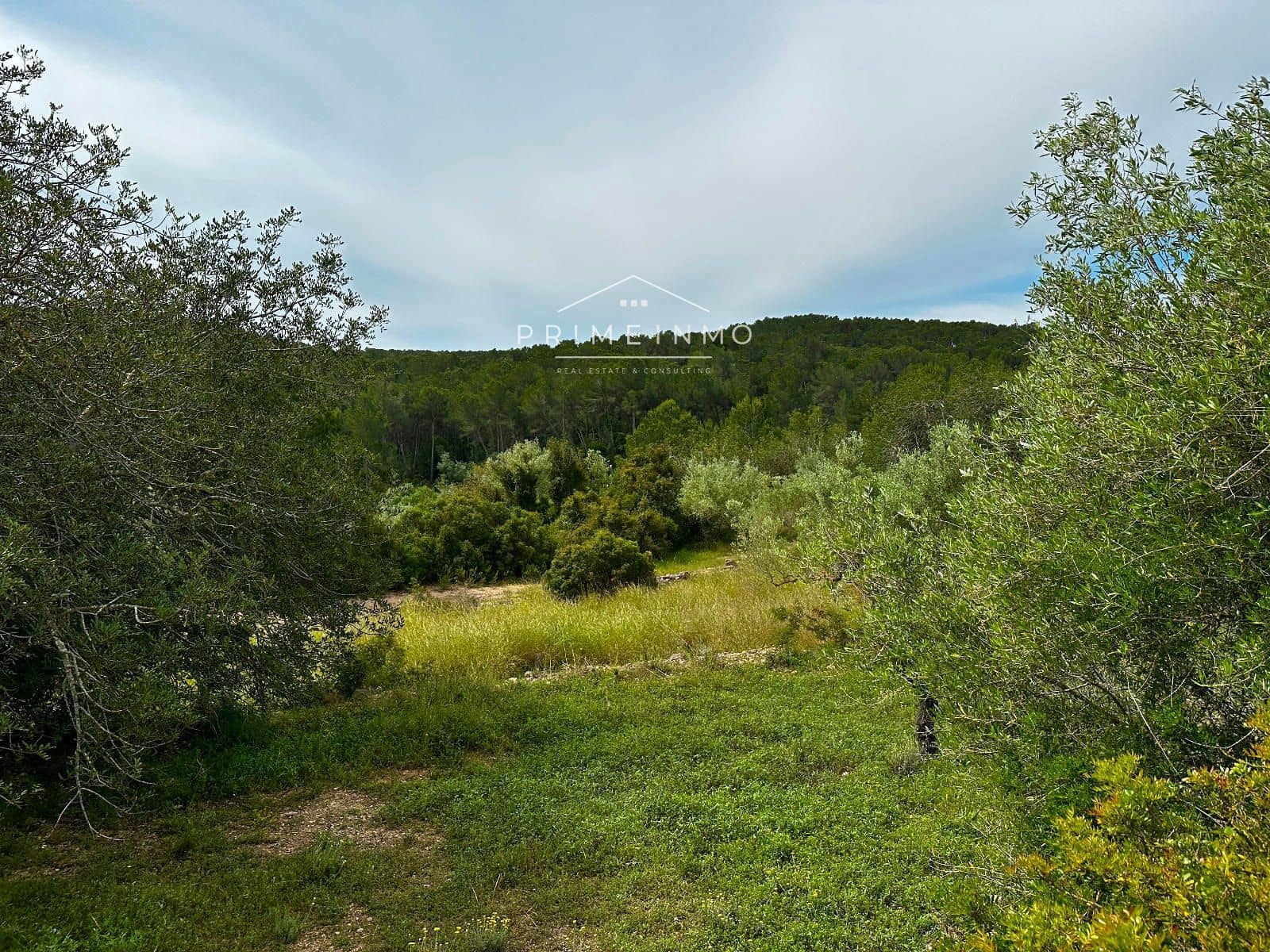 Grunde uden byggetilladelser til salg i L'Ametlla de Mar - € 189.000 (Ref: 9008355)