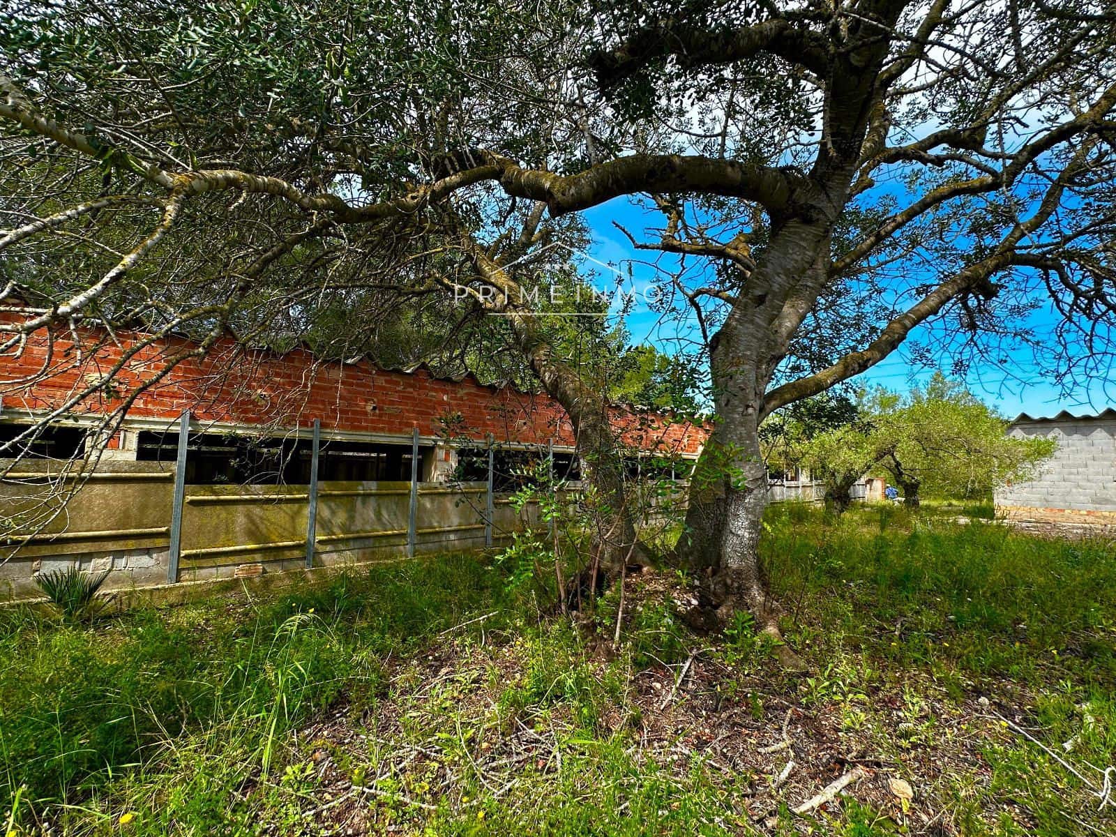 Grunde uden byggetilladelser til salg i L'Ametlla de Mar - € 189.000 (Ref: 9008355)