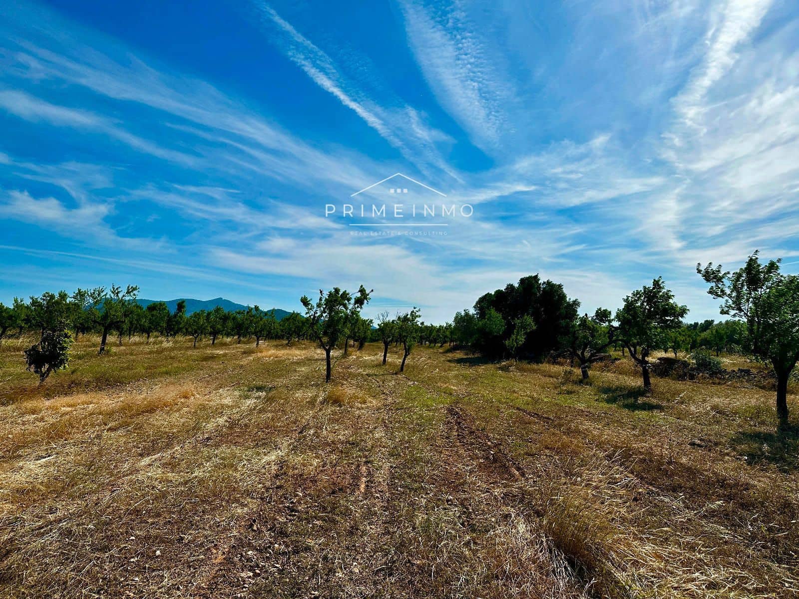 Ubebygd land til salgs i L'Ametlla de Mar - € 33 000 (Ref: 9013502)