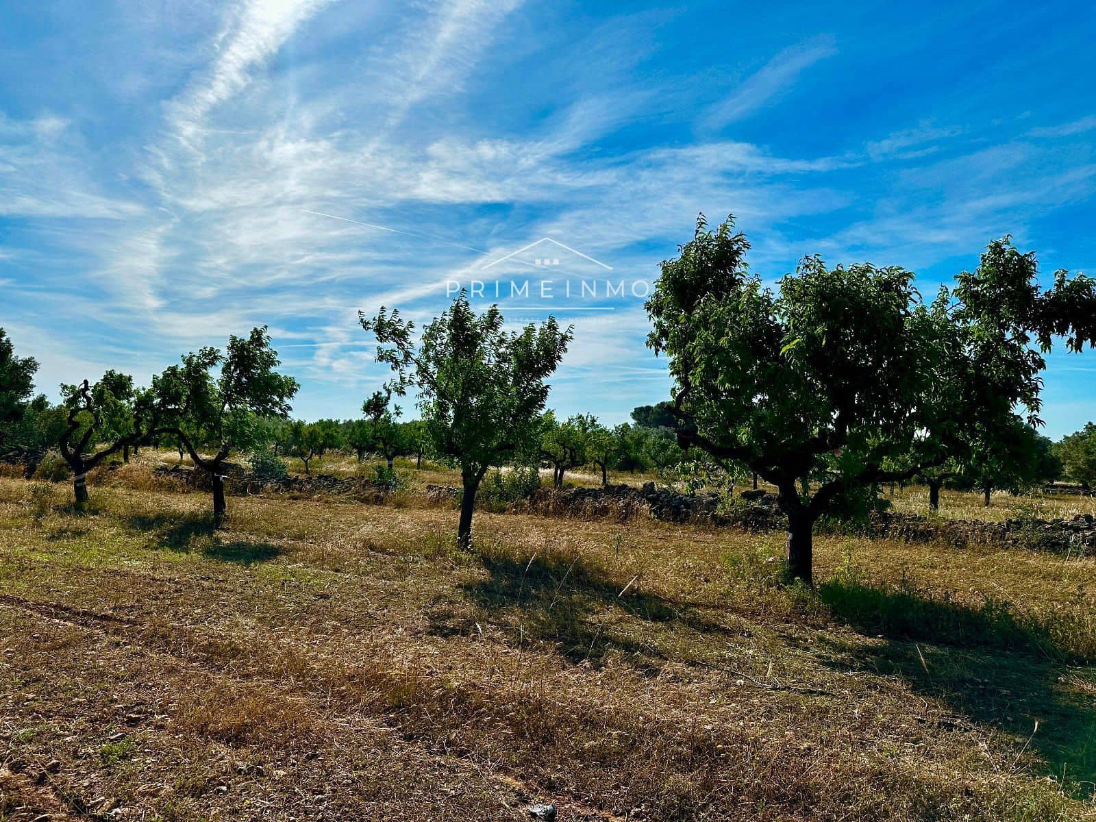 Ubebygd land til salgs i L'Ametlla de Mar - € 33 000 (Ref: 9013502)