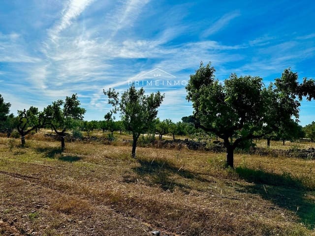 Rakentamaton maa myytävänä paikassa L'Ametlla de Mar - 33 000 € (Ref: 9013502)