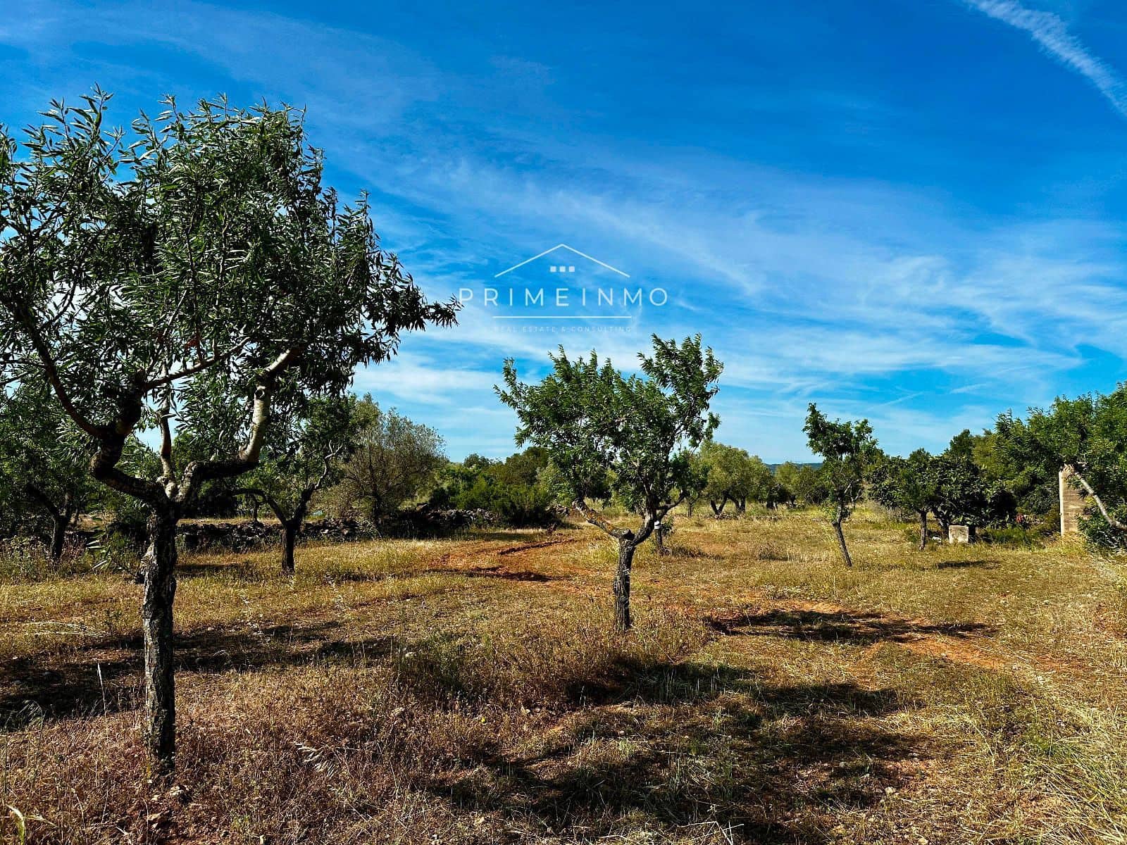 Ubebygd land til salgs i L'Ametlla de Mar - € 33 000 (Ref: 9013502)