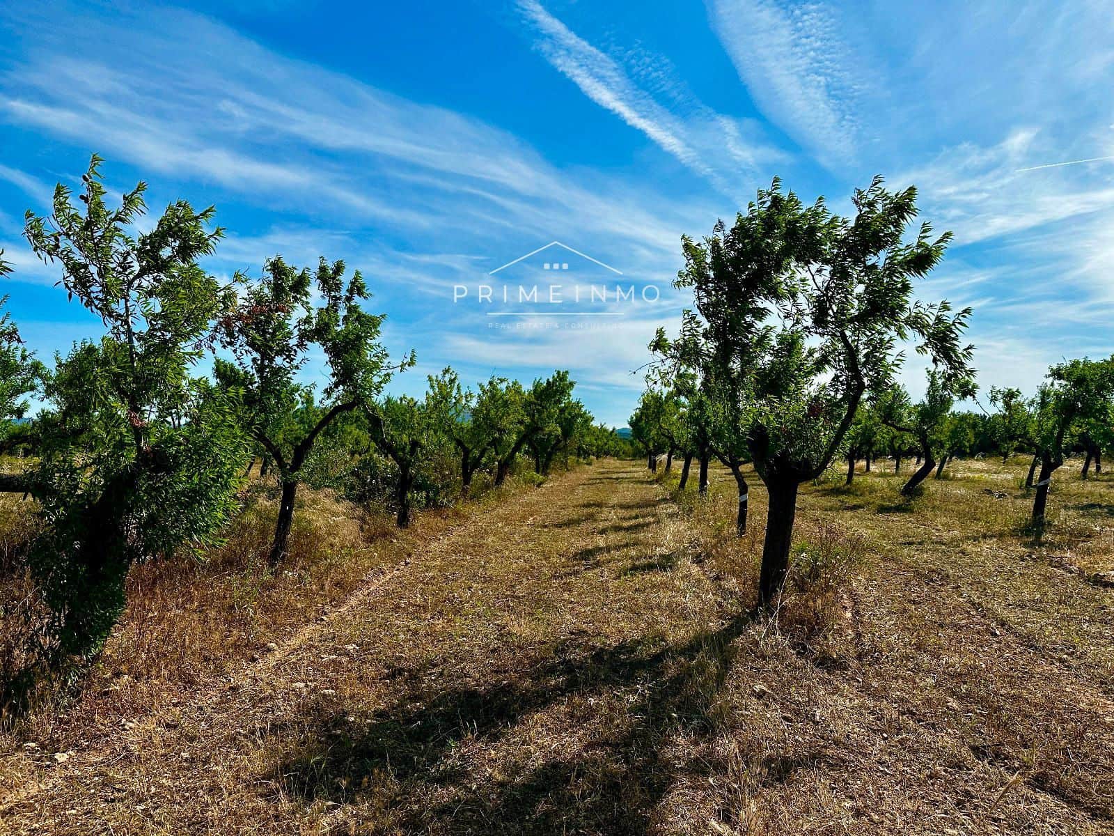 Ubebygd land til salgs i L'Ametlla de Mar - € 33 000 (Ref: 9013502)