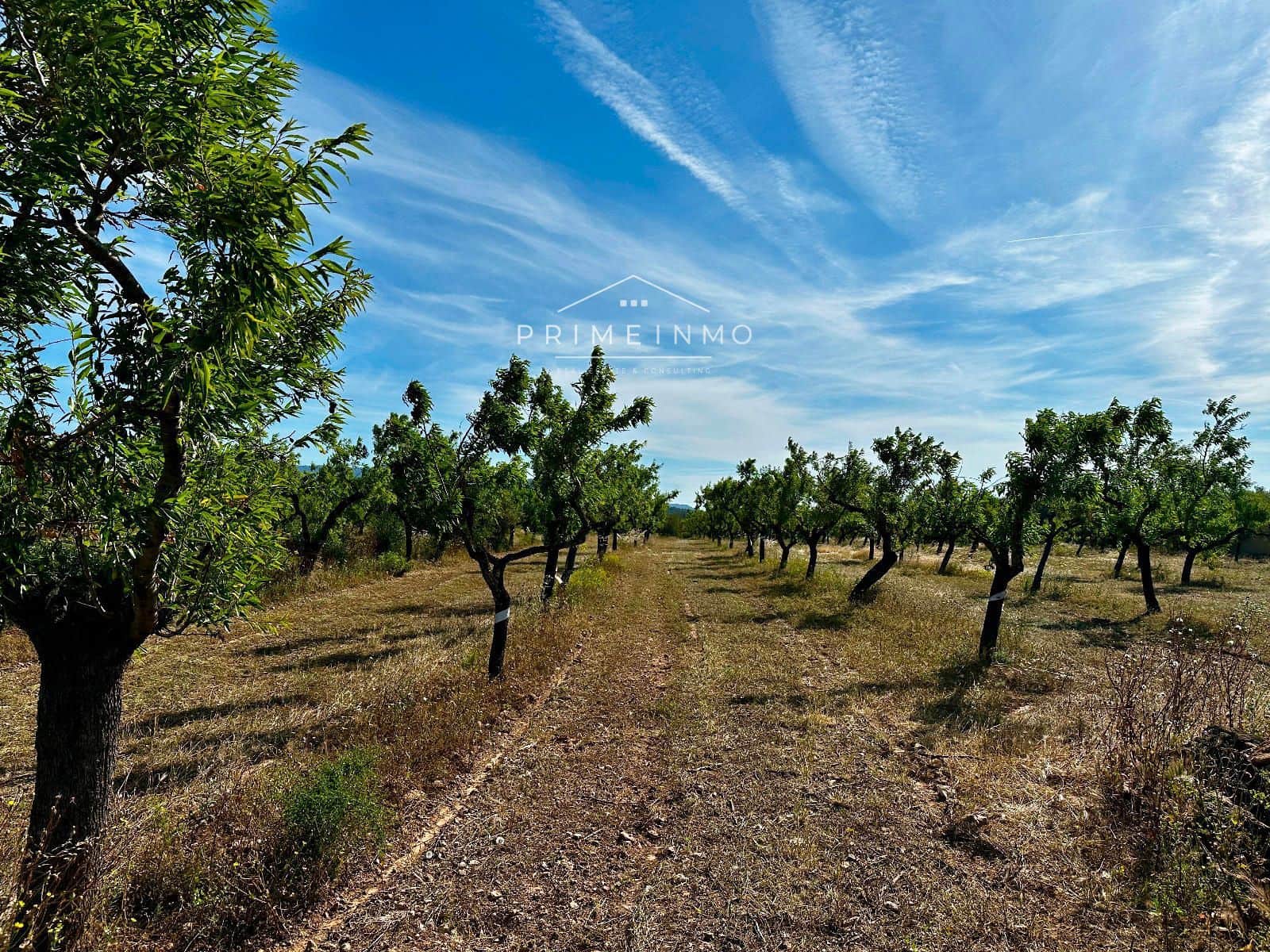 Ubebygd land til salgs i L'Ametlla de Mar - € 33 000 (Ref: 9013502)