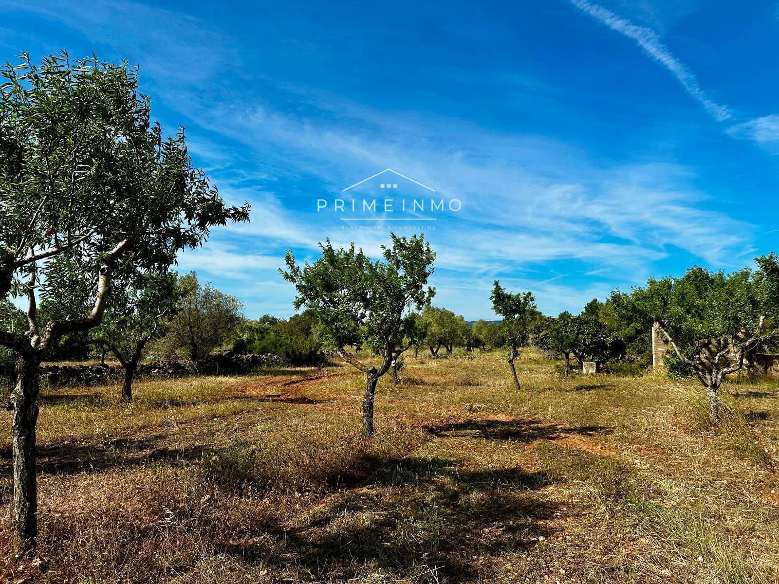 Ubebygd land til salgs i L'Ametlla de Mar - € 33 000 (Ref: 9013502)