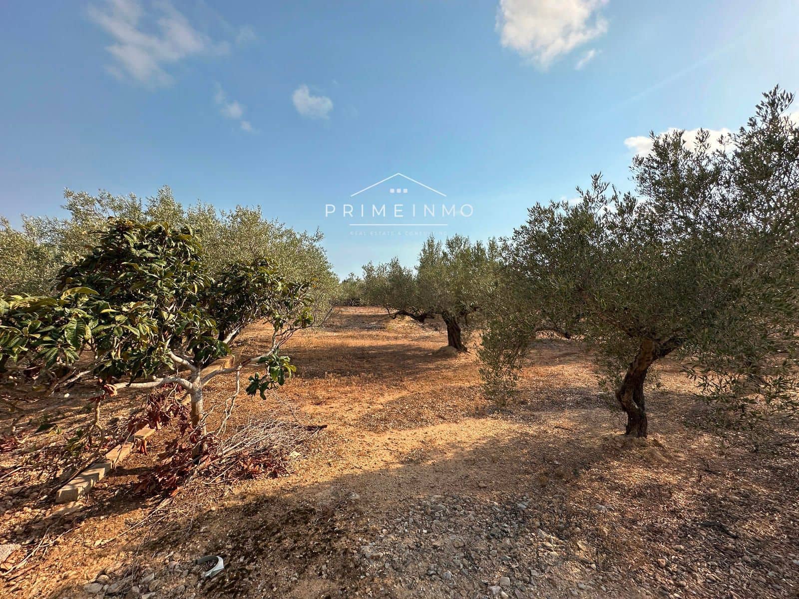 Grunde uden byggetilladelser til salg i L'Ampolla - € 95.000 (Ref: 9111615)