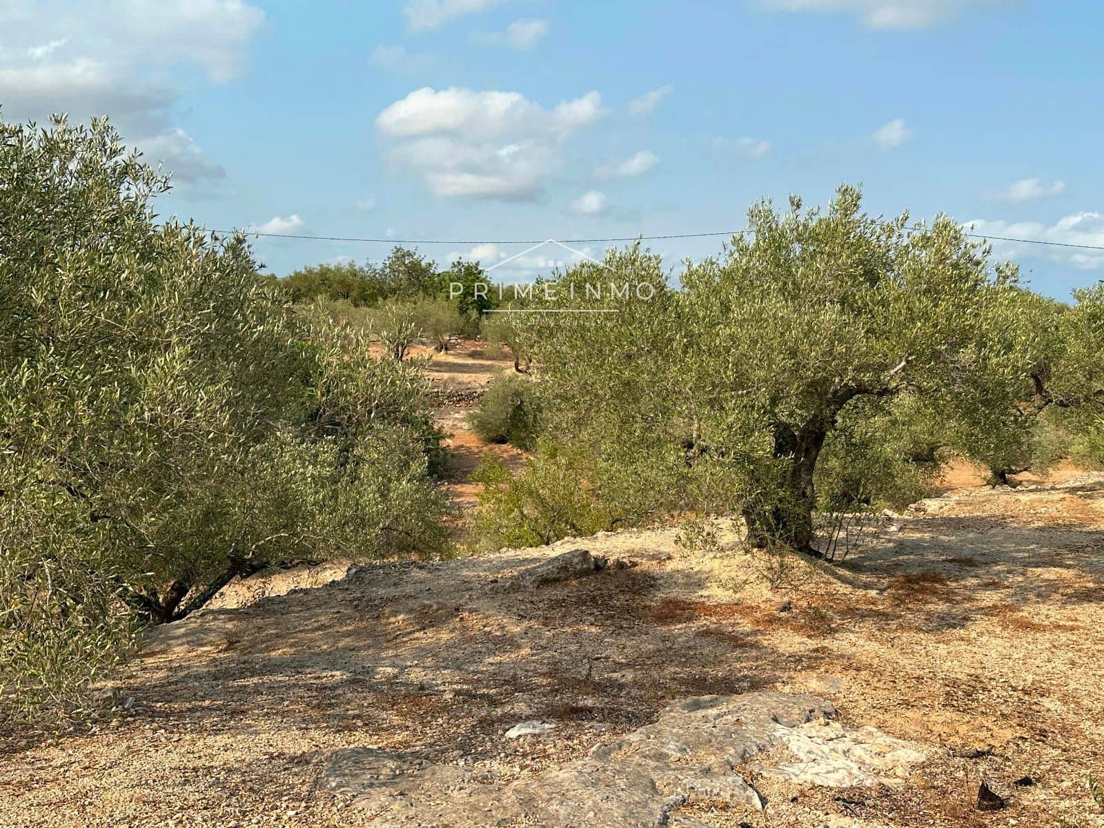 Grunde uden byggetilladelser til salg i L'Ampolla - € 95.000 (Ref: 9111615)