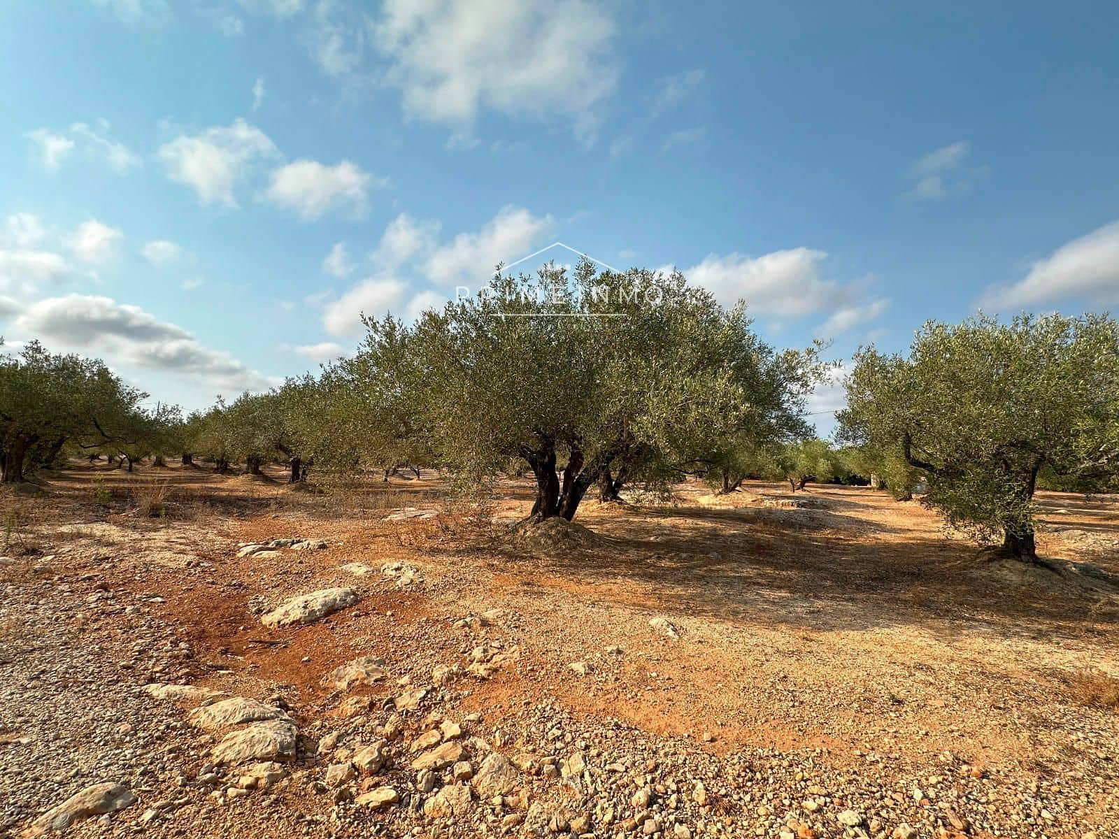 Grunde uden byggetilladelser til salg i L'Ampolla - € 95.000 (Ref: 9111615)