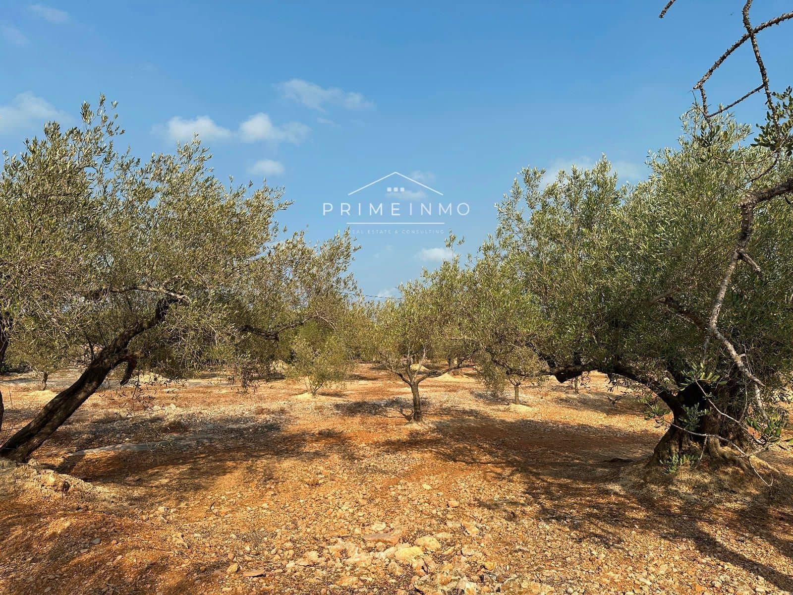 Grunde uden byggetilladelser til salg i L'Ampolla - € 95.000 (Ref: 9111615)