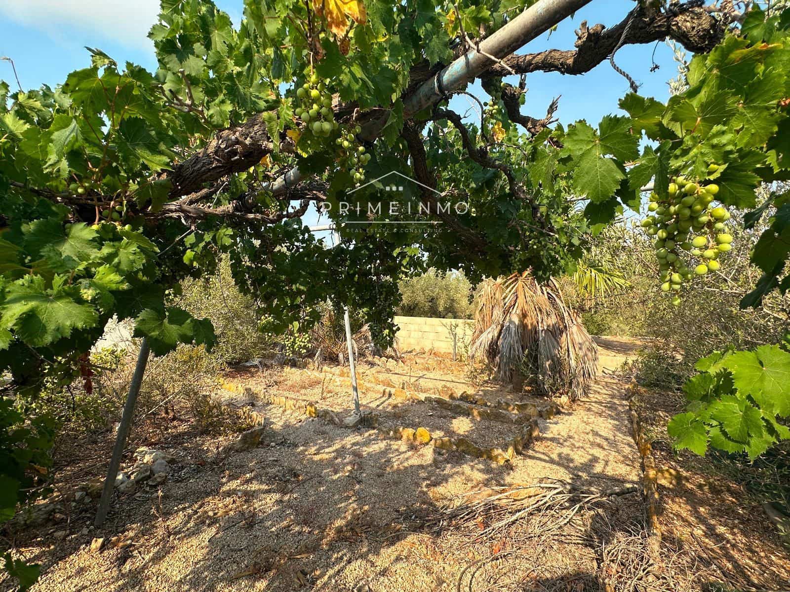 Grunde uden byggetilladelser til salg i L'Ampolla - € 95.000 (Ref: 9111615)