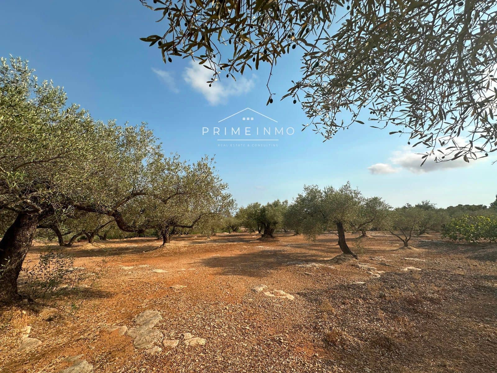 Grunde uden byggetilladelser til salg i L'Ampolla - € 95.000 (Ref: 9111615)