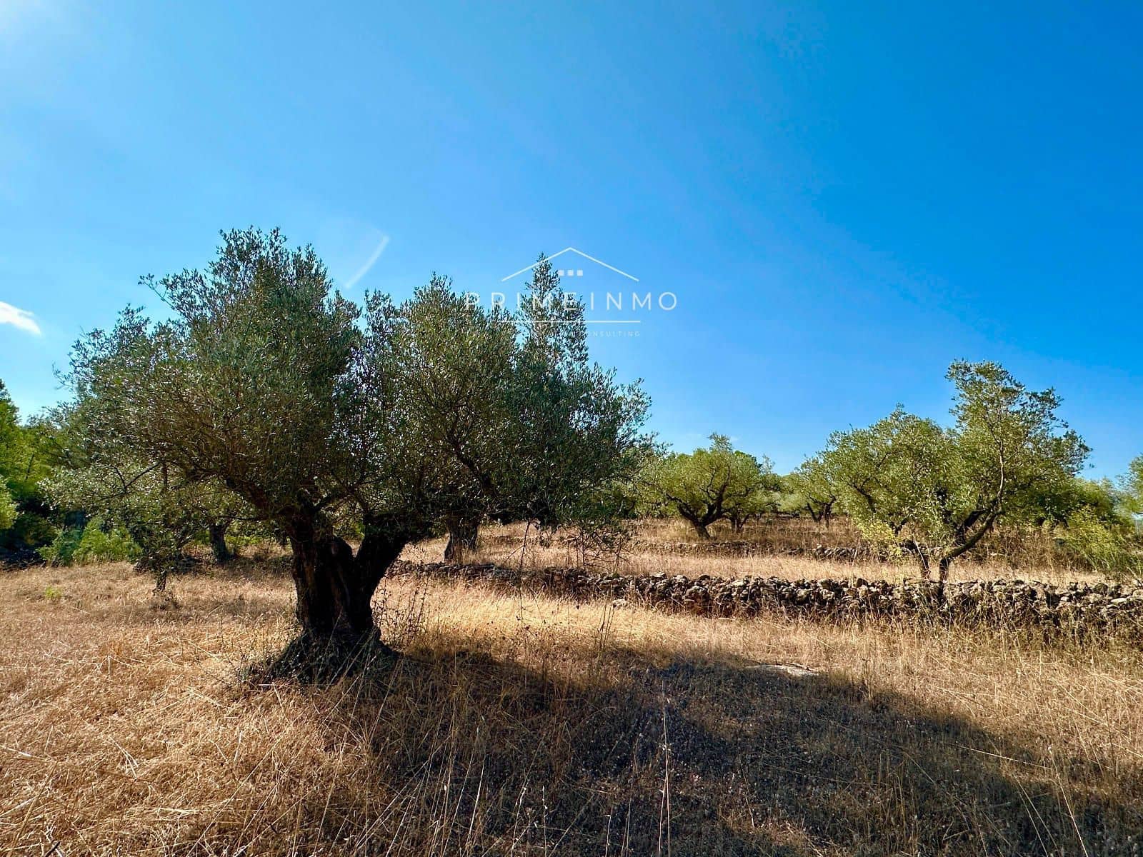 Villa til salg i El Perello - € 130.000 (Ref: 9187342)