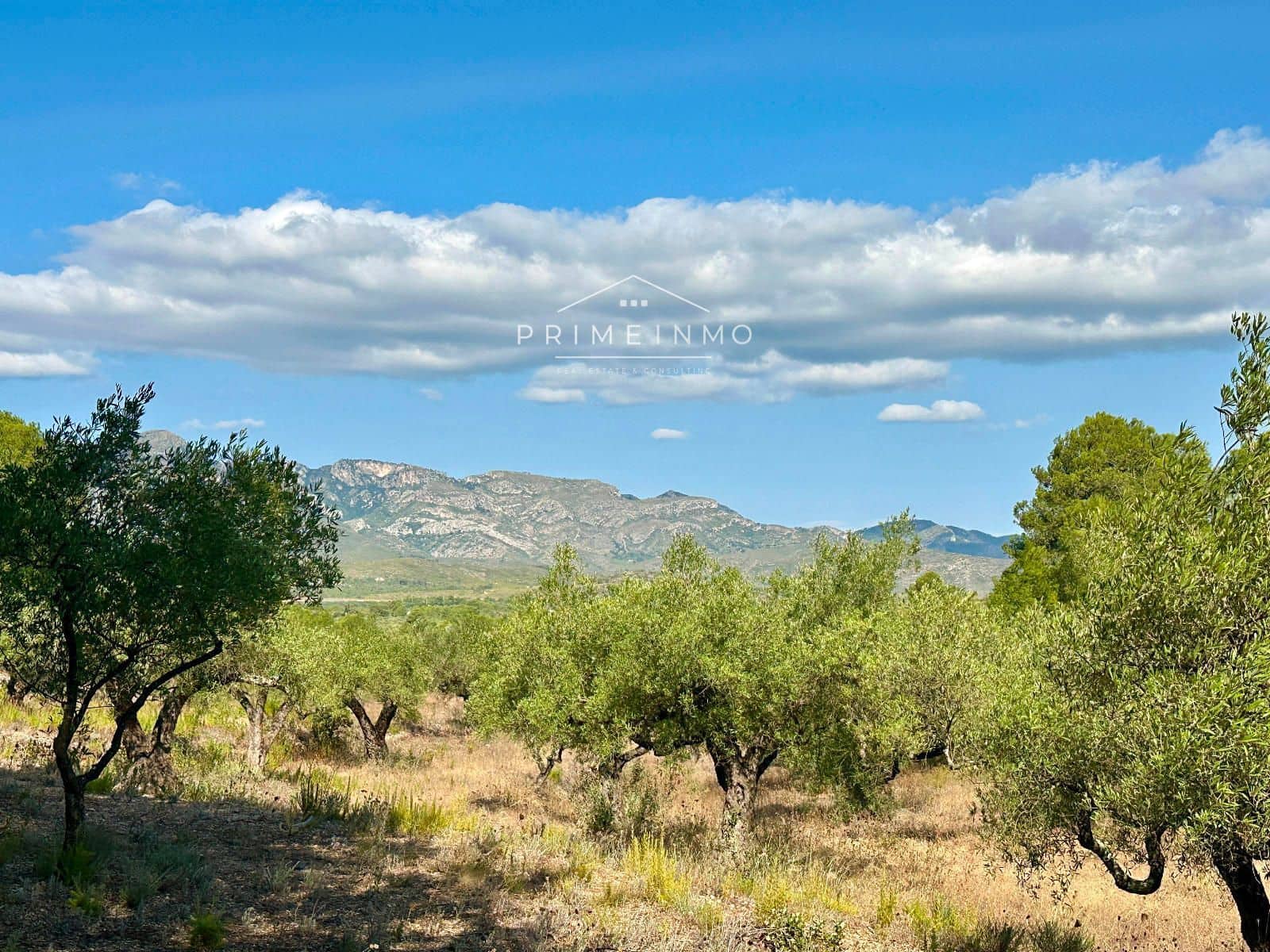 Villa til salg i El Perello - € 130.000 (Ref: 9187342)