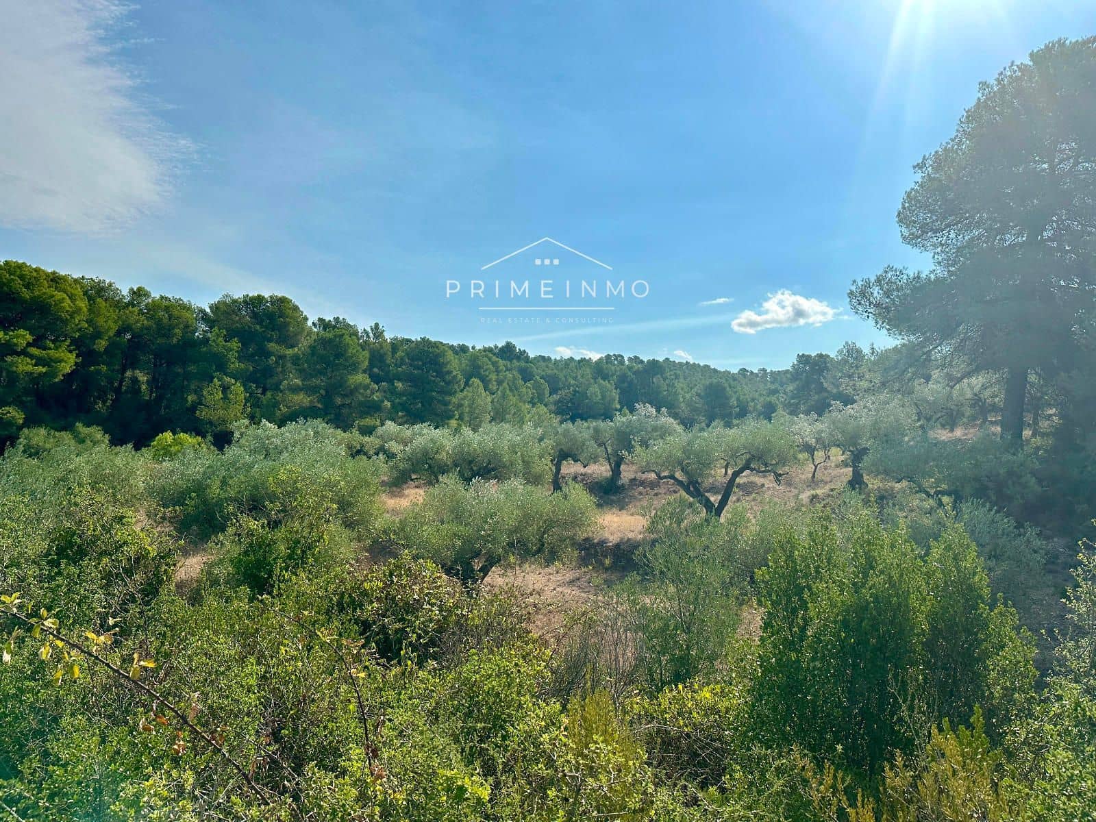 Villa til salg i El Perello - € 130.000 (Ref: 9187342)