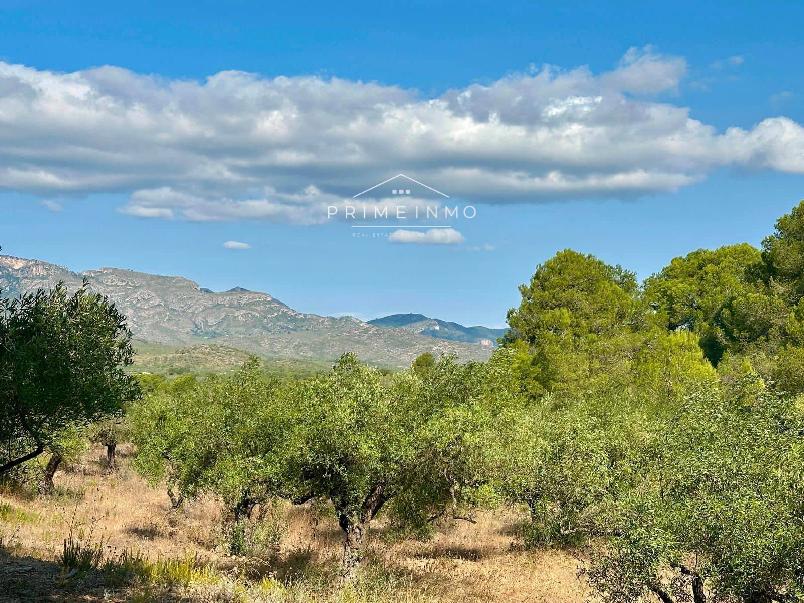 Villa til salg i El Perello - € 130.000 (Ref: 9187342)