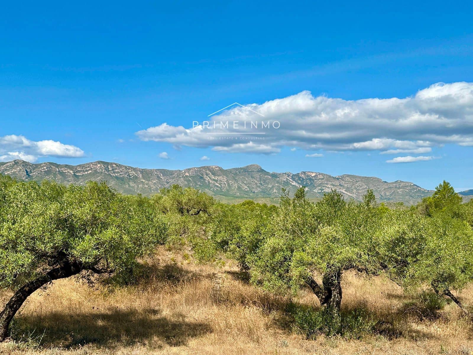 Villa til salg i El Perello - € 130.000 (Ref: 9187342)