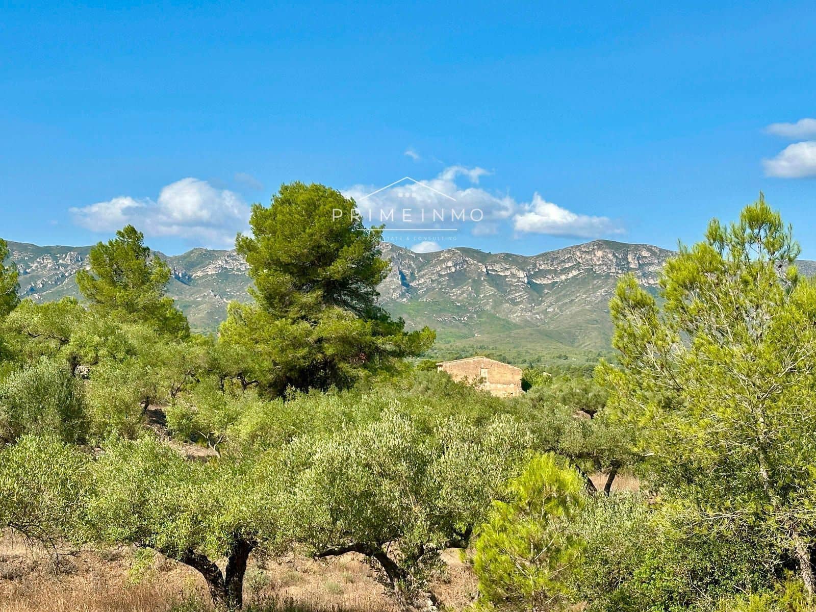 Villa til salg i El Perello - € 130.000 (Ref: 9187342)