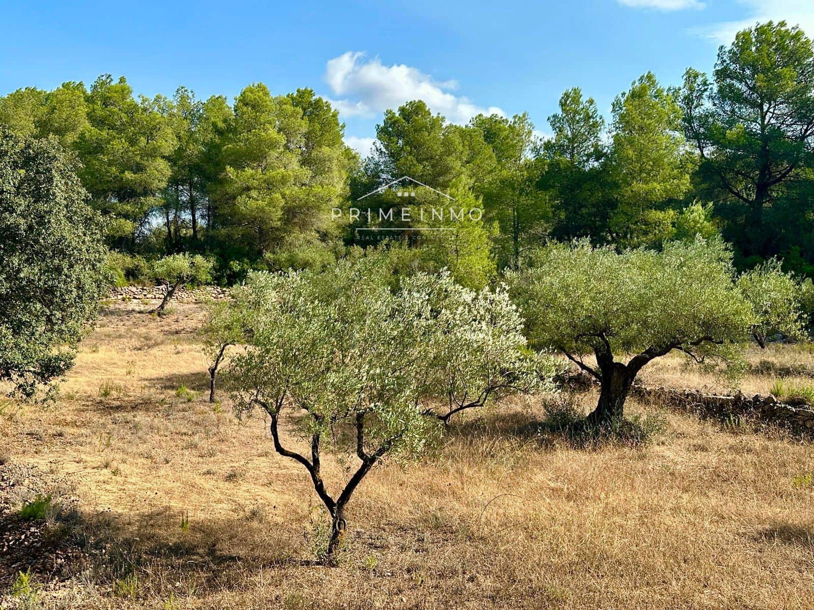 Villa til salg i El Perello - € 130.000 (Ref: 9187342)