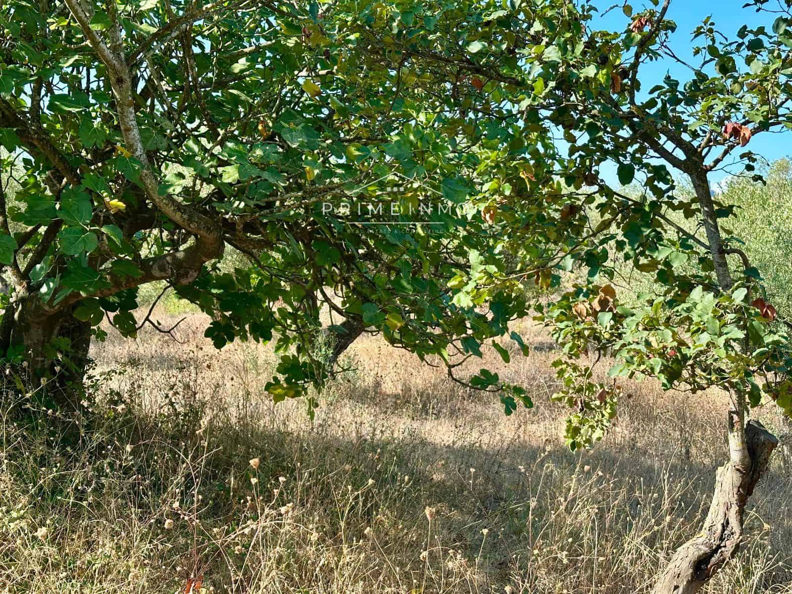 Villa til salg i El Perello - € 130.000 (Ref: 9187342)