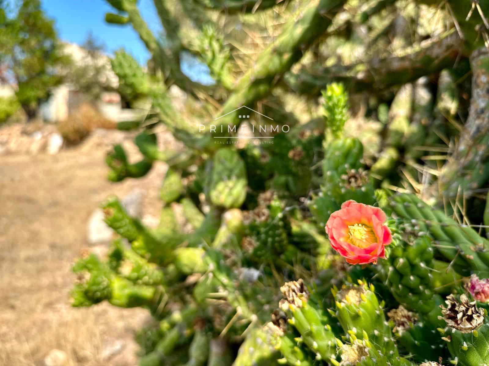 1 sypialnia Willa na sprzedaż w El Perello - 130 000 € (Ref: 9187470)