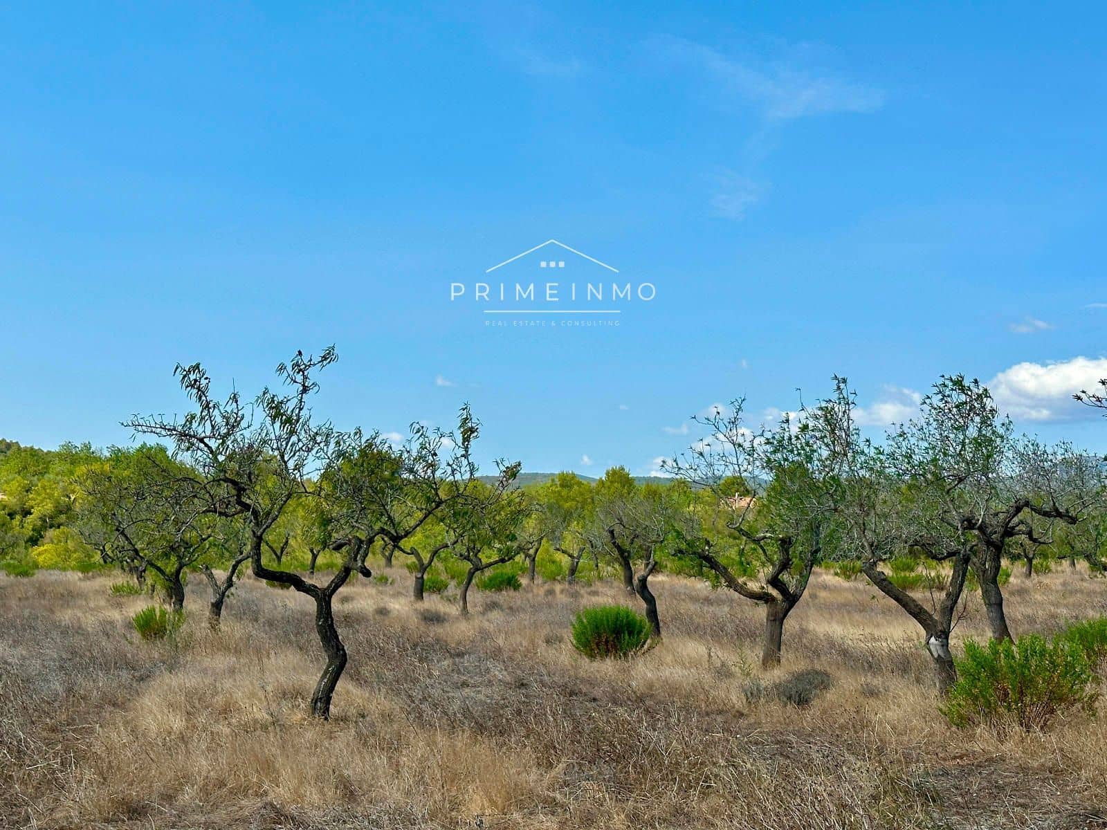 1 sypialnia Willa na sprzedaż w El Perello - 130 000 € (Ref: 9187470)