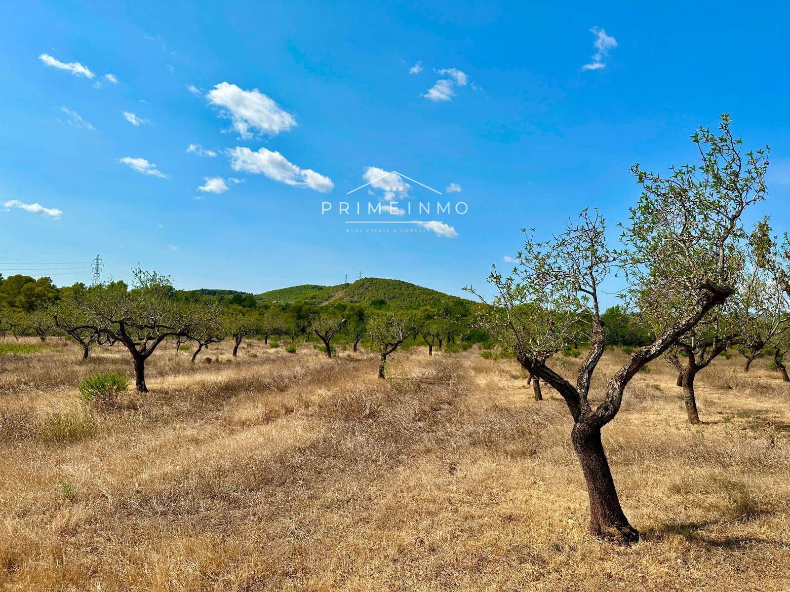 1 sypialnia Willa na sprzedaż w El Perello - 130 000 € (Ref: 9187470)