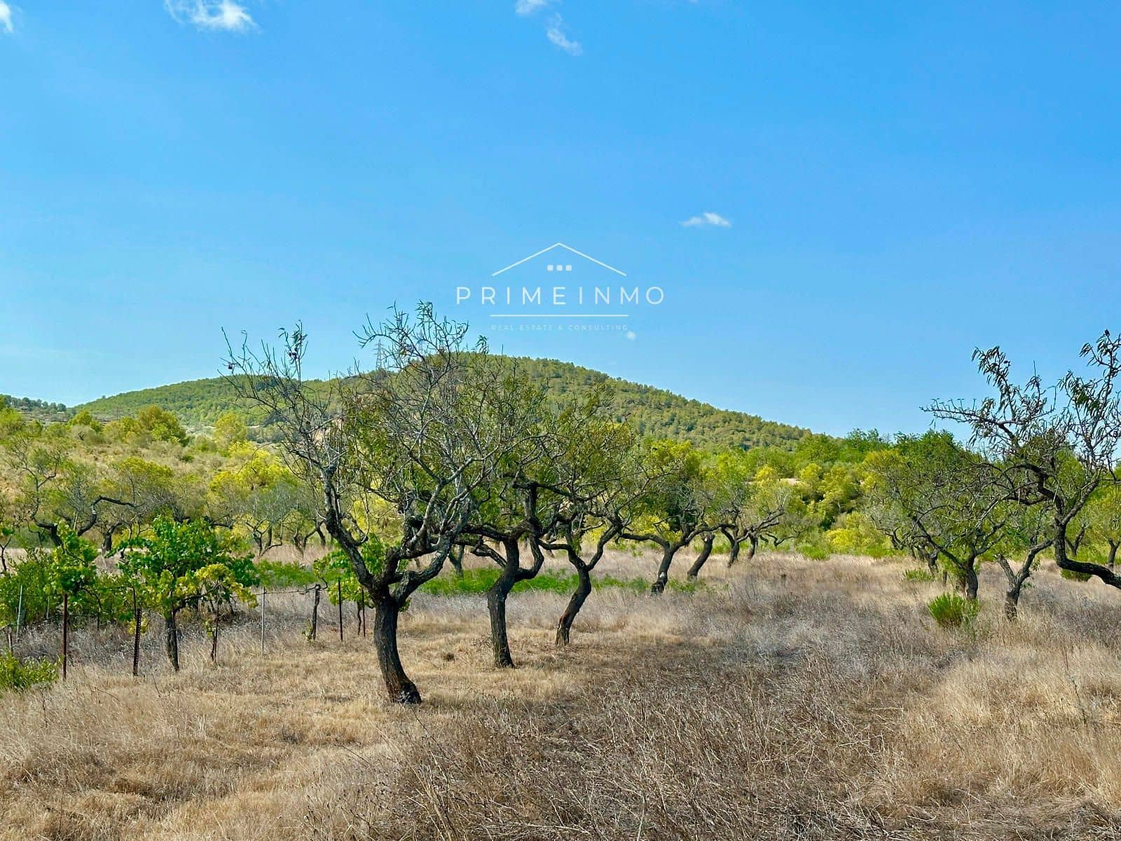 1 sypialnia Willa na sprzedaż w El Perello - 130 000 € (Ref: 9187470)