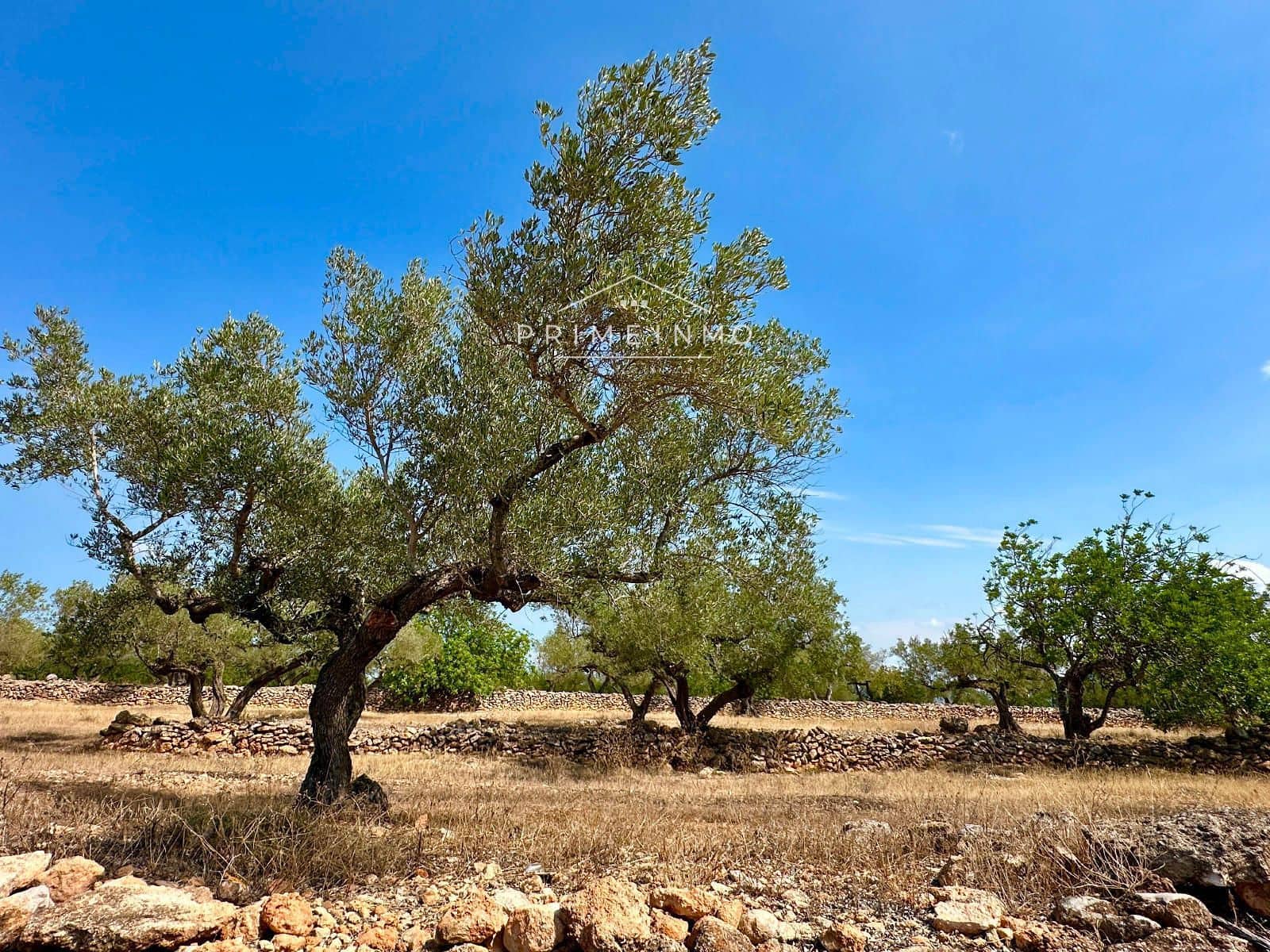 1 sypialnia Willa na sprzedaż w El Perello - 130 000 € (Ref: 9187470)