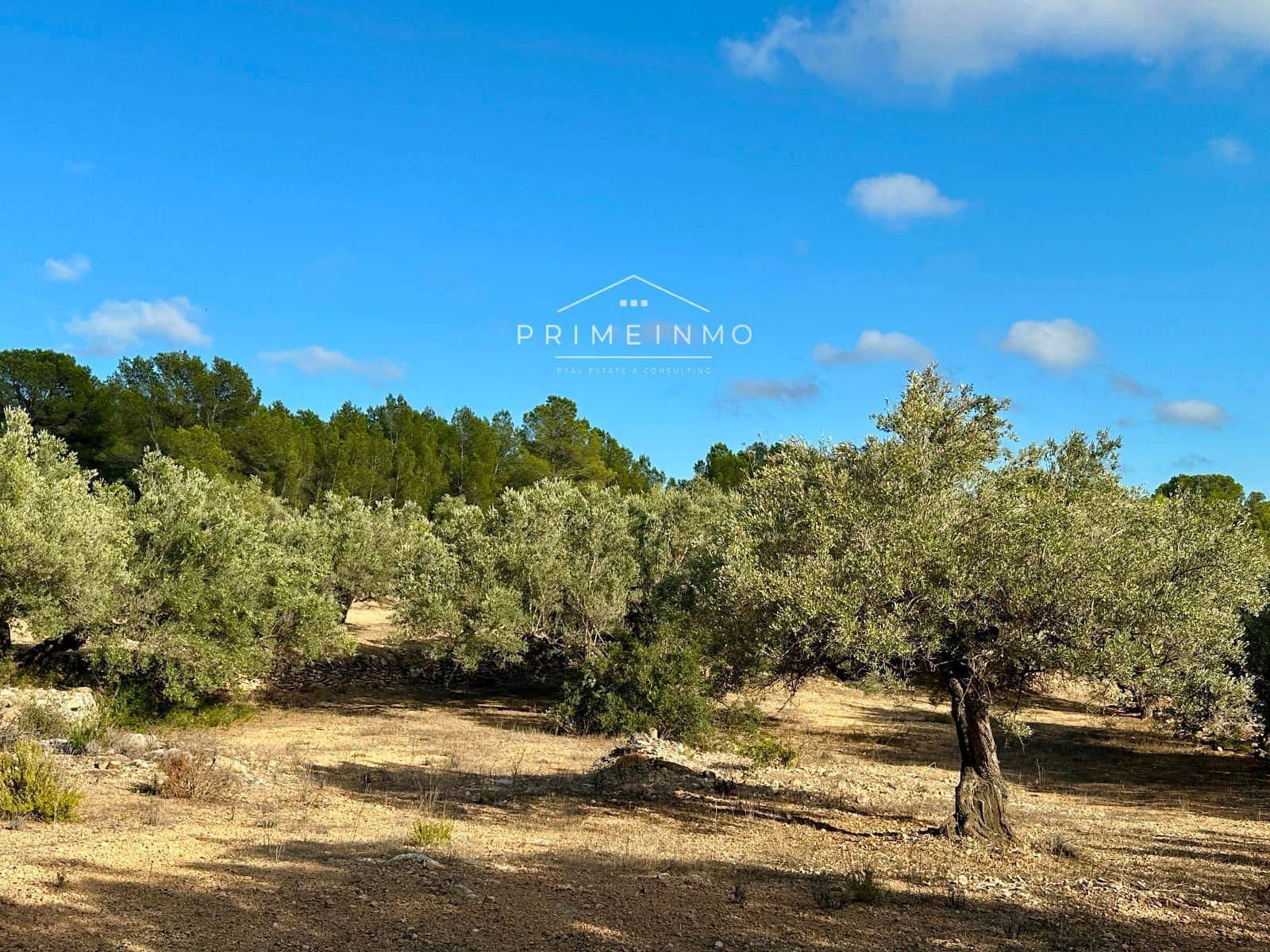 3 bedroom Villa for sale in El Perello with pool garage - € 360,000 (Ref: 9244479)