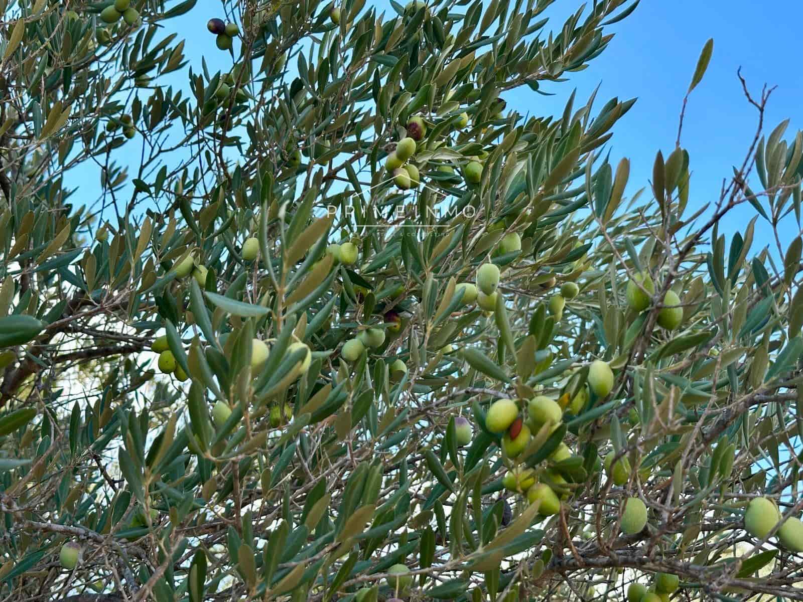 3 bedroom Villa for sale in El Perello with pool garage - € 360,000 (Ref: 9244479)