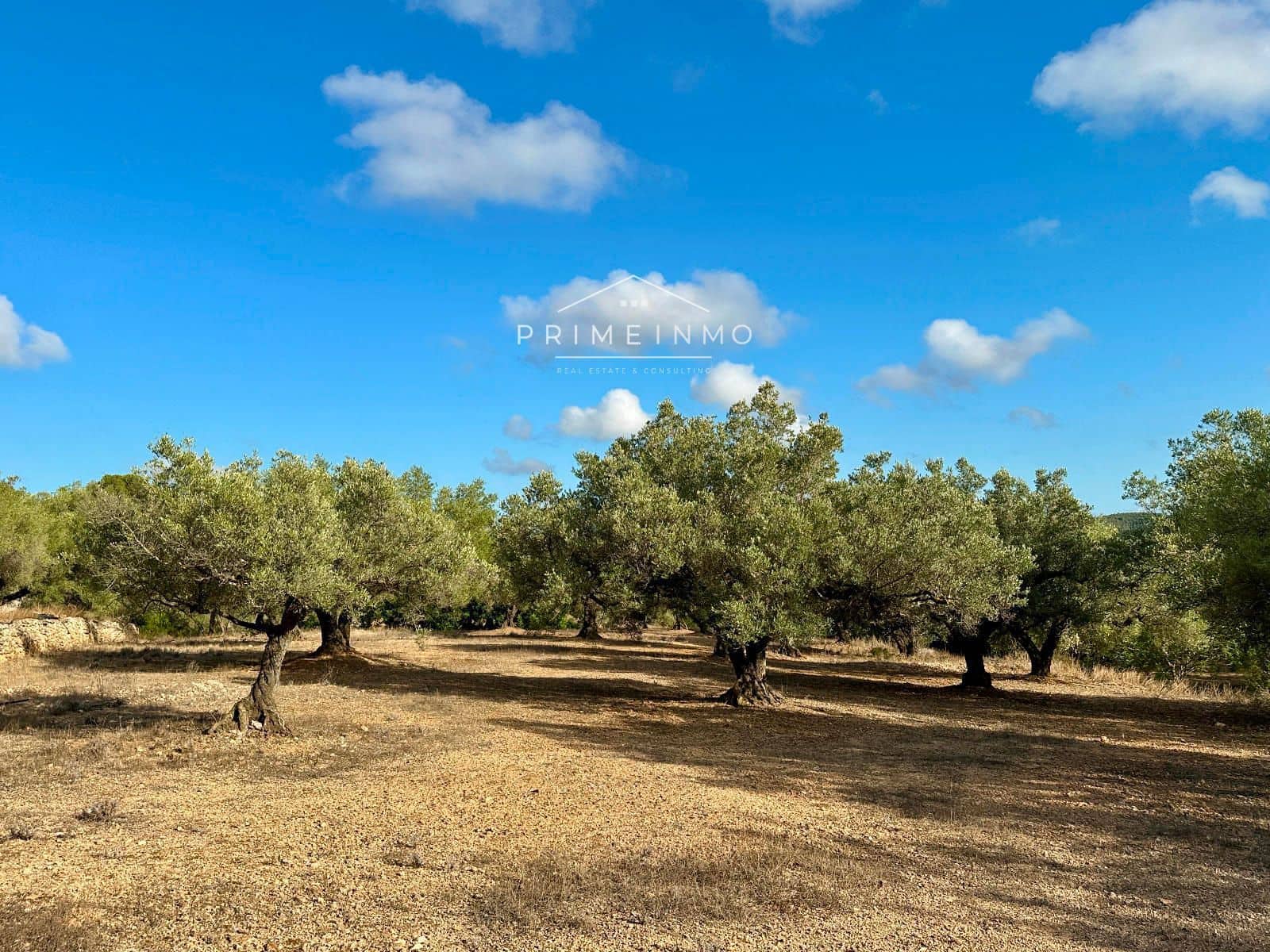 3 bedroom Villa for sale in El Perello with pool garage - € 360,000 (Ref: 9244479)