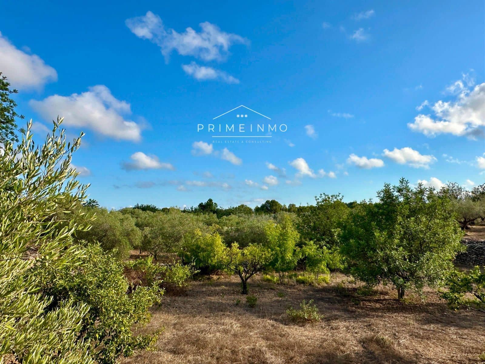 3 bedroom Villa for sale in El Perello with pool garage - € 360,000 (Ref: 9244479)